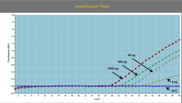 Real_Time_PCR_Example